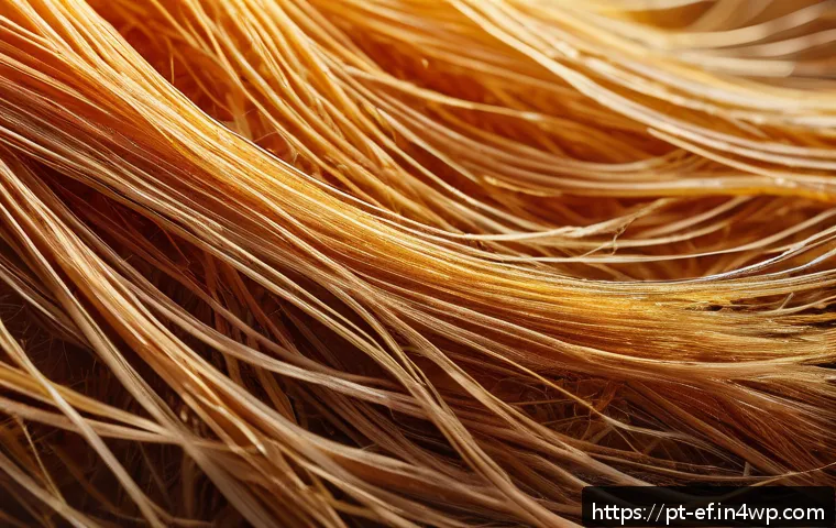 Os 7 nutrientes essenciais para fortalecer seu cabelo e prevenir a queda de forma natural 4 모발 손실 예방을 위한 영양소 관련 이미지 2